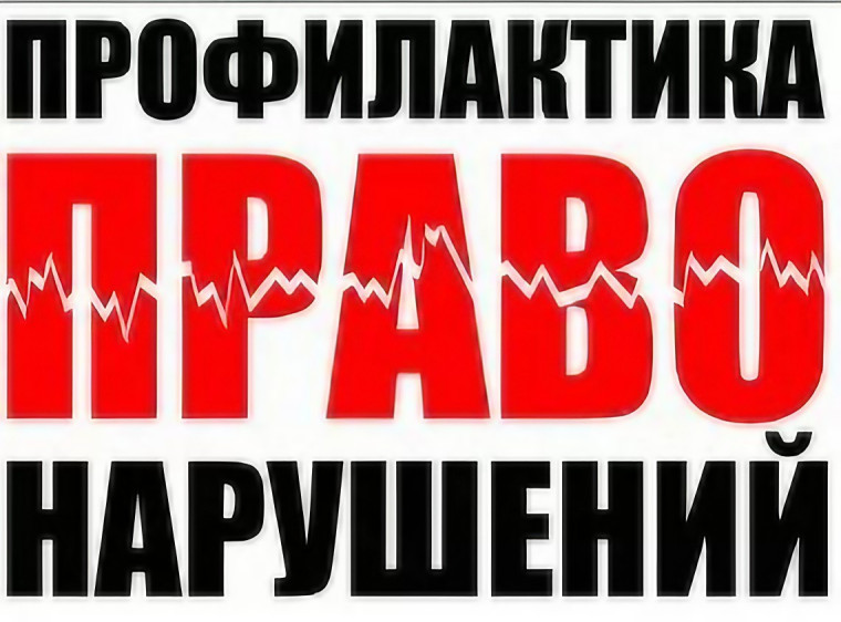 День профилактики правонарушений.